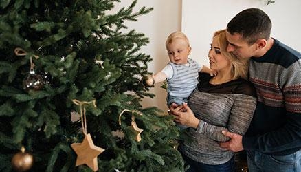 The Christmas Forest
