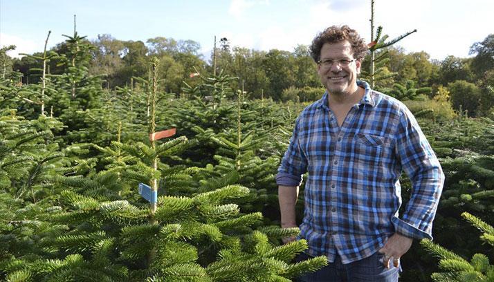 Christmas Tree - Top Tips