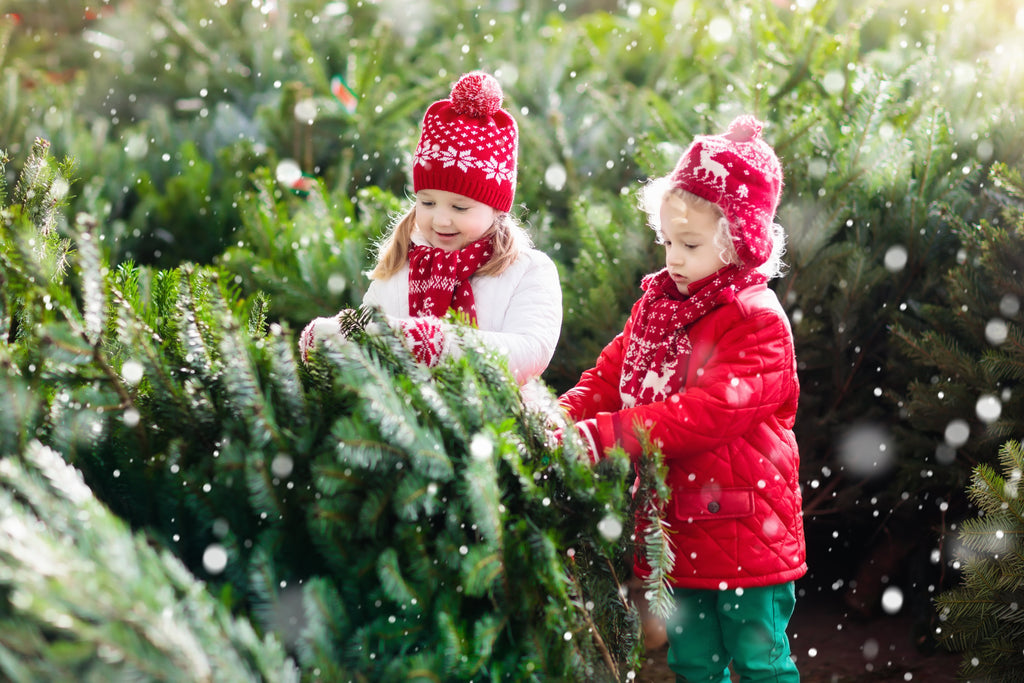 Sustainably Cropped Christmas Trees