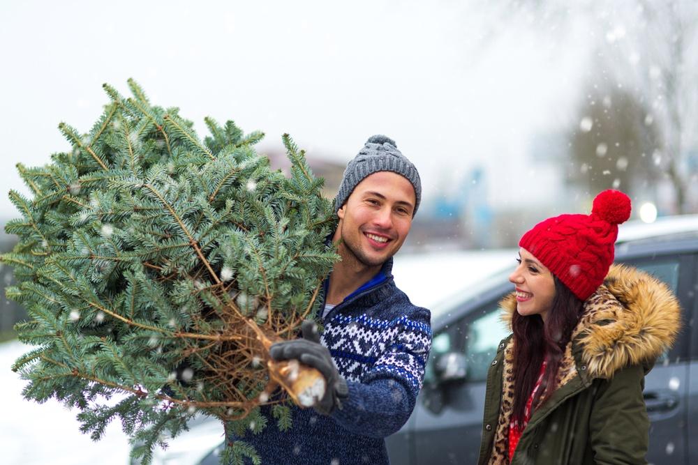 What type of Christmas Tree?