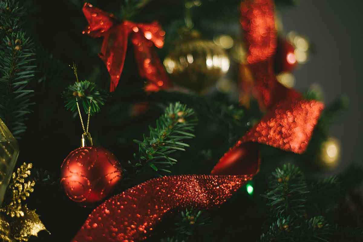 Festive Decorated Christmas Tree from The Christmas Forest