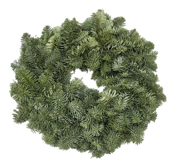 10 inch Plain Wreath from The Christmas Forest