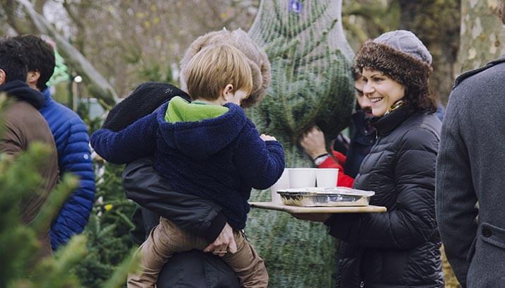 The Christmas Forest The Christmas Forest